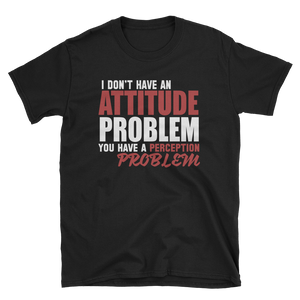 I DON'T HAVE AN ATTITUDE PROBLEM - HILLTOP TEE SHIRTS