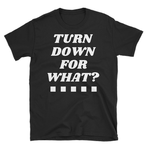 TURN DOWN FOR WHAT? - HILLTOP TEE SHIRTS